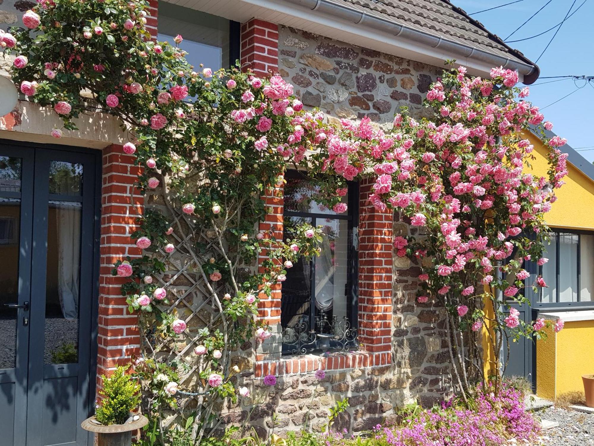 Bed and Breakfast Le Jardin Coudeville Екстер'єр фото