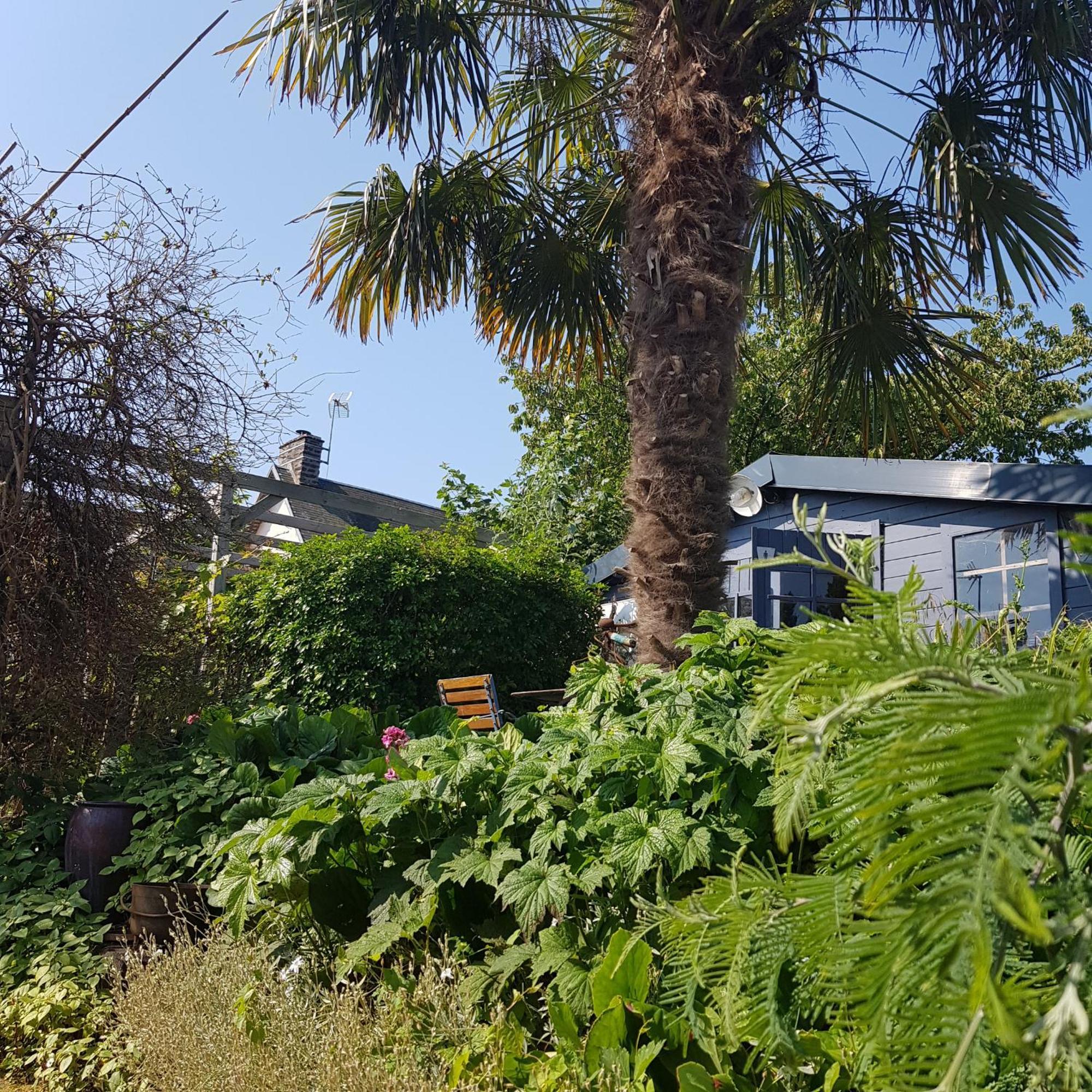 Bed and Breakfast Le Jardin Coudeville Екстер'єр фото