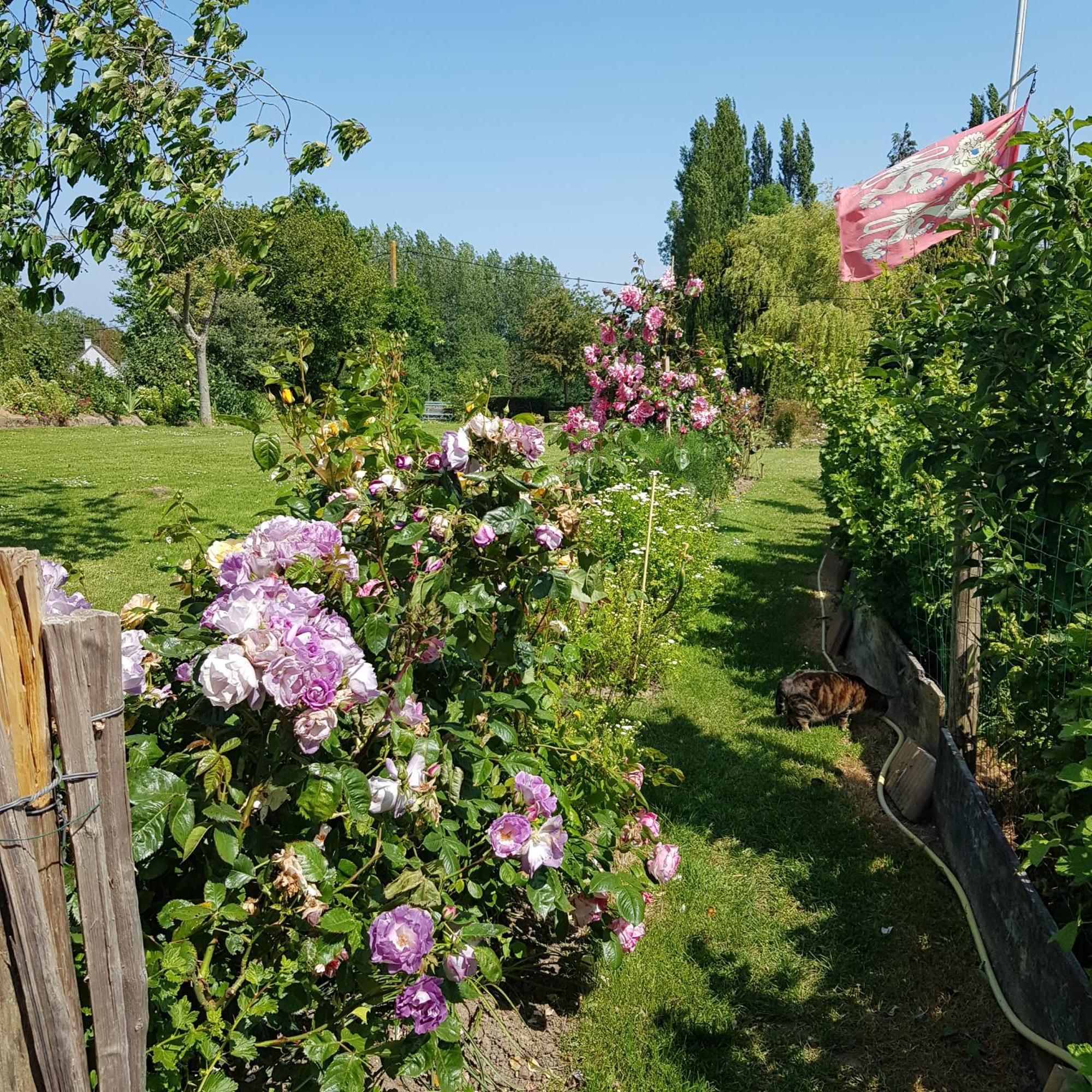 Bed and Breakfast Le Jardin Coudeville Екстер'єр фото